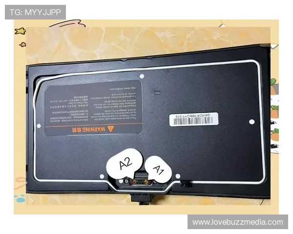 凯发网网站会员注册流程详细步骤，助你快速完成账号注册与激活